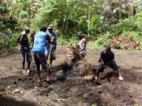 Clearing the land for soap factory 2008
