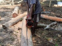 Splitting the coconut logs for the walls 2008