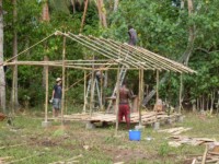 Bamboo house roof beams 2010