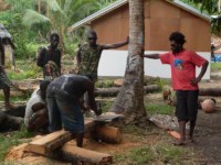 Milling coconut logs 2010