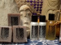 Palm Project products 2010